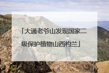 大通老爷山发现国家二级保护植物山西杓兰